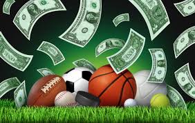 Discover the Future of Betting at betpro-exchange-pk.com Discover the Future of Betting at betpro-exchange-pk.com